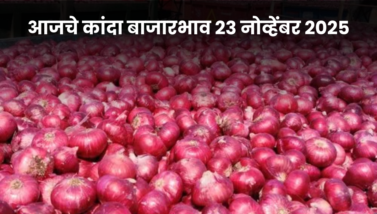 आजचे कांदा बाजारभाव 23 नोव्हेंबर 2025 | Onion Market Rate Today | Pune, Satara, Daund Prices