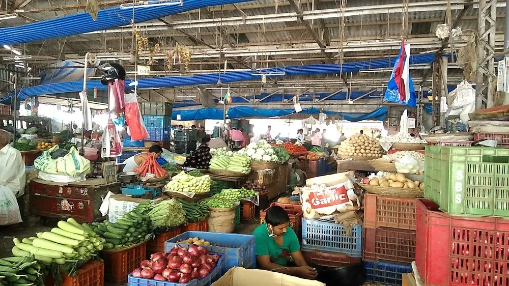 वाशी मार्केट आजचे बाजारभाव 1 नोव्हेंबर 2025